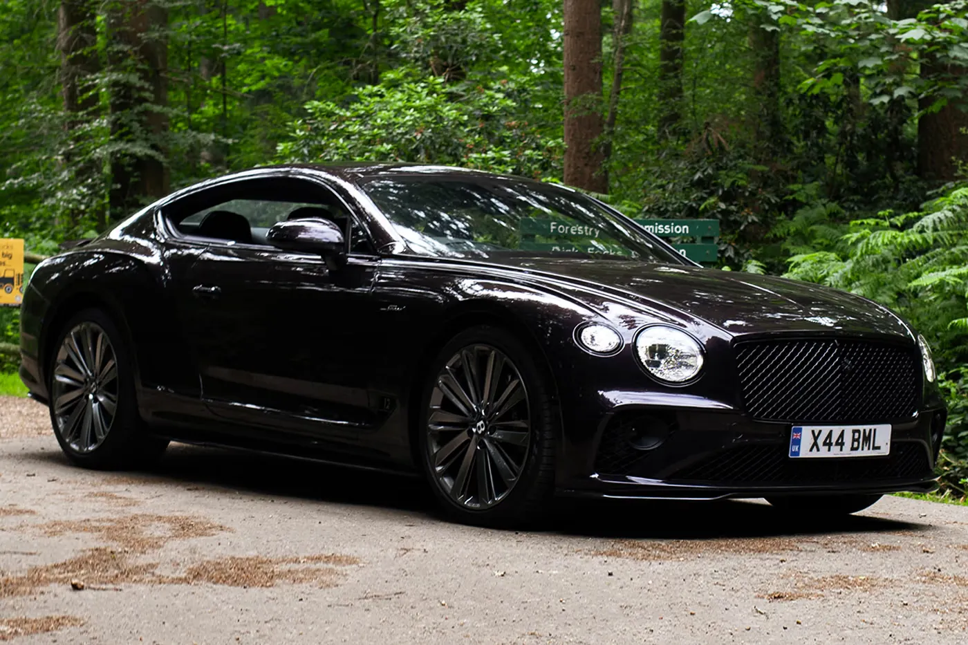 The Bentley Continental GT Speed Is Man’s Best Friend
